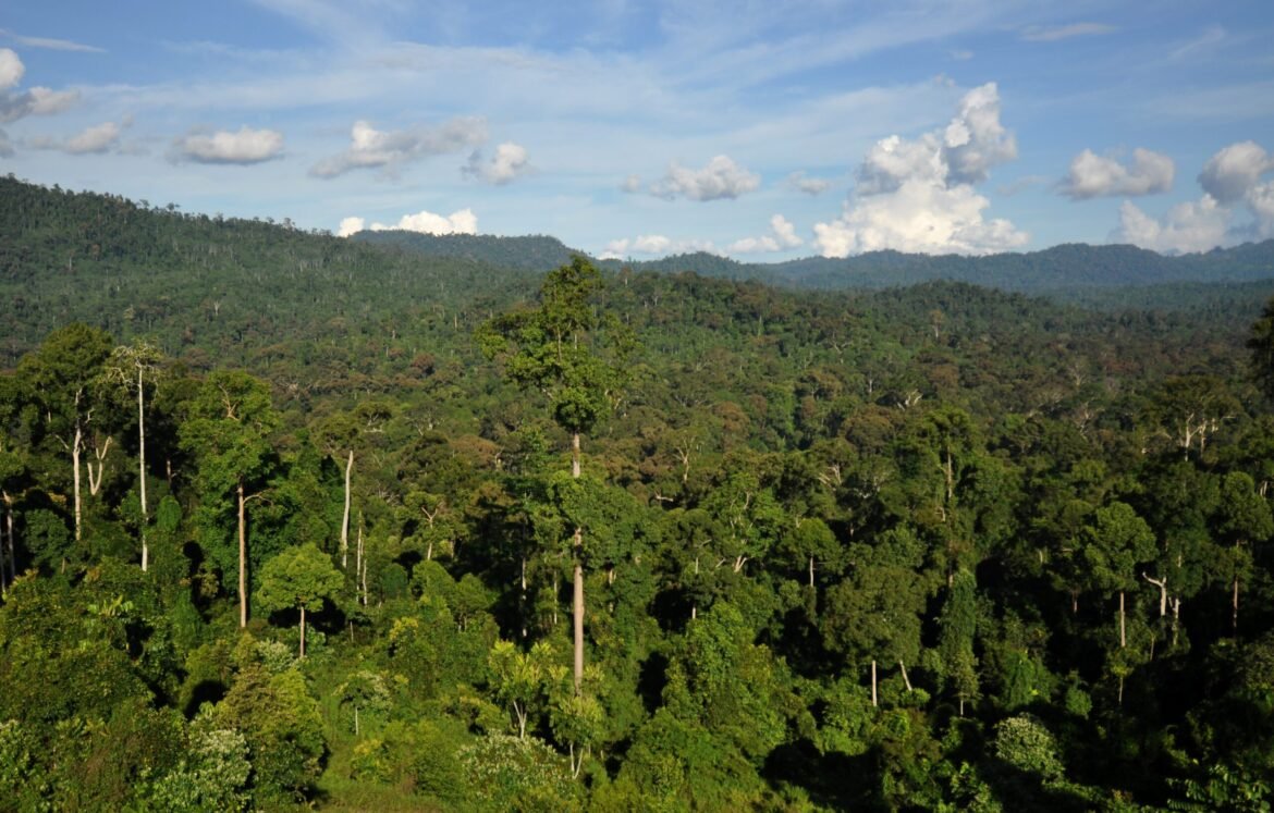 Silent Valley Rain Forest in Kerala Silent Valley Rain Forest in Kerala